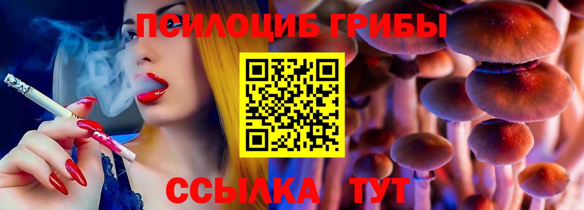купить   Вход с VPN  Усть-Илимск  Псилоцибиновые грибы Magic Shrooms  Псилоцибиновые грибы MAGIC MUSHROOMS 